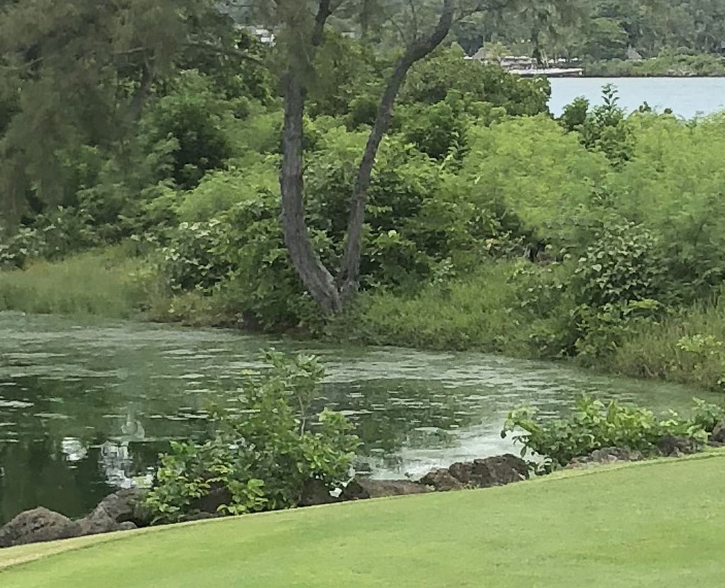 Obstáculo de agua de un campo de golf
