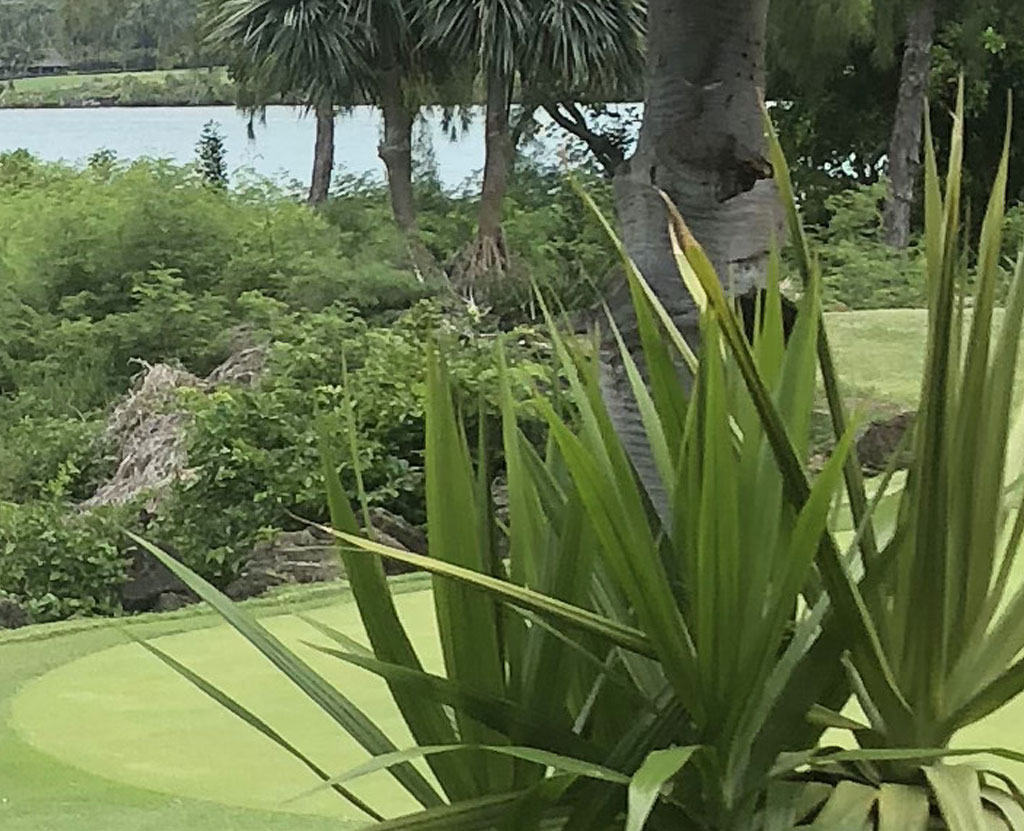 Zona alrededor de un green