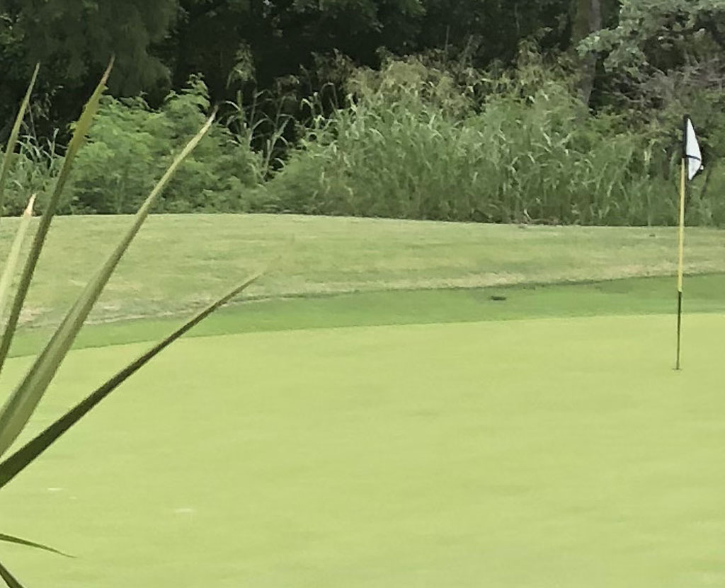 Green de un campo de golf