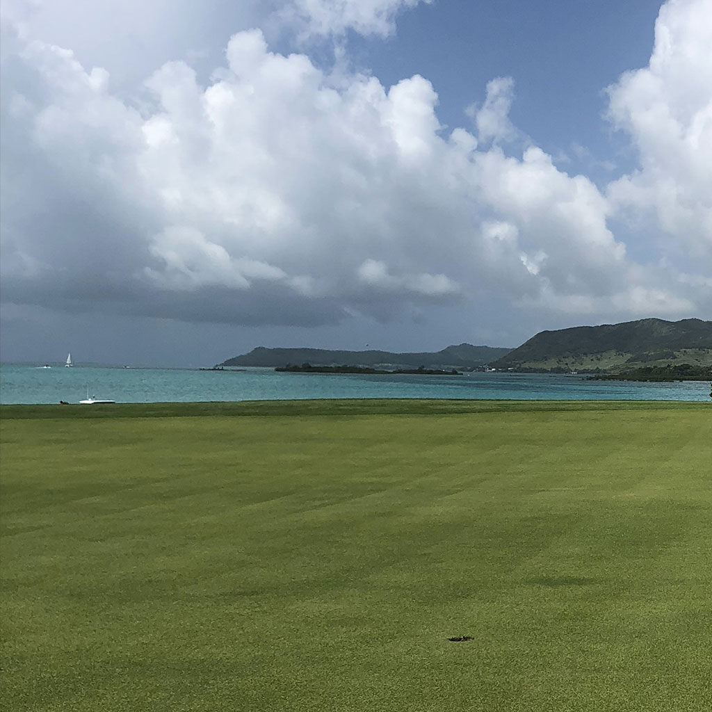 Green con mar al fondo