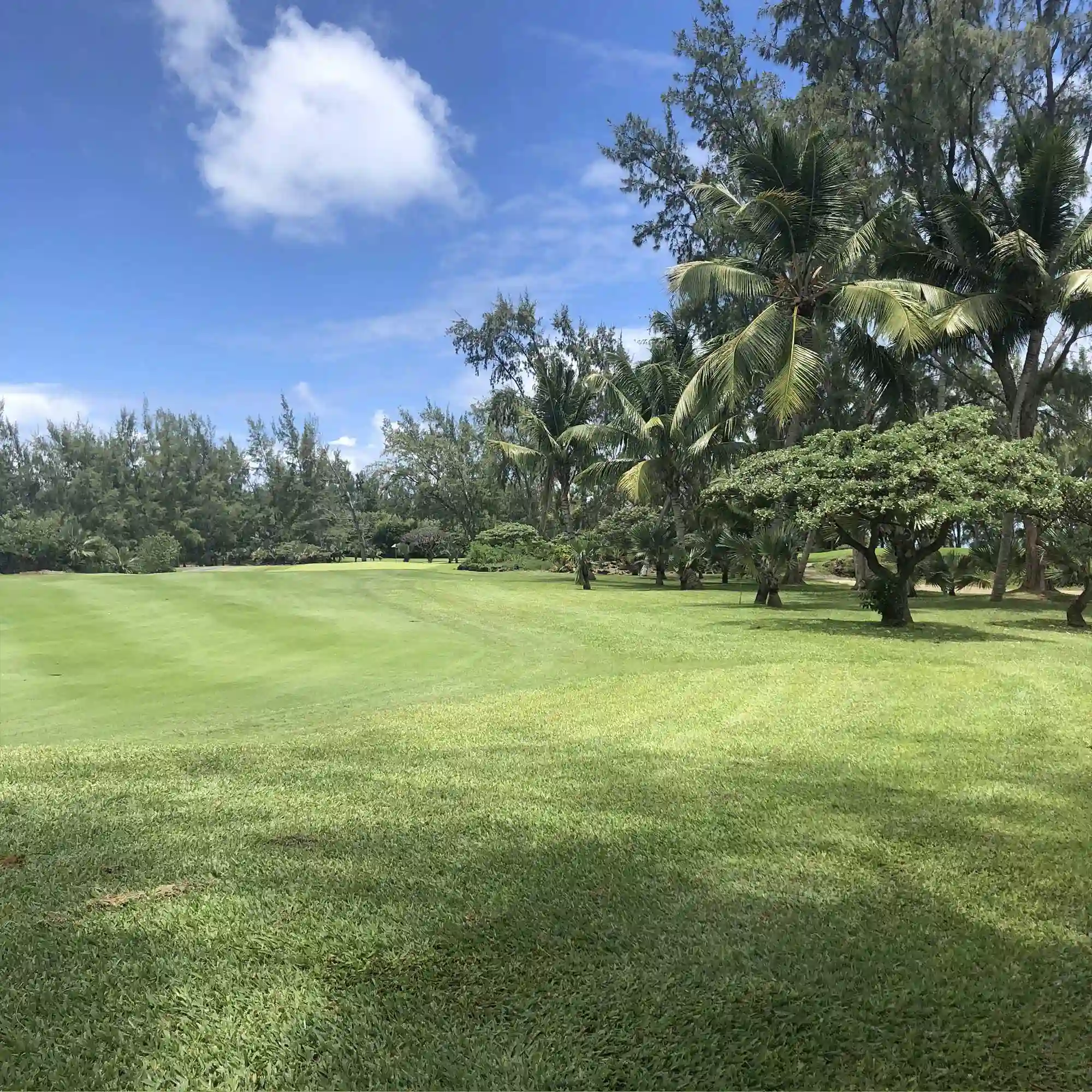 Calle de un campo de golf con el green al fondo
